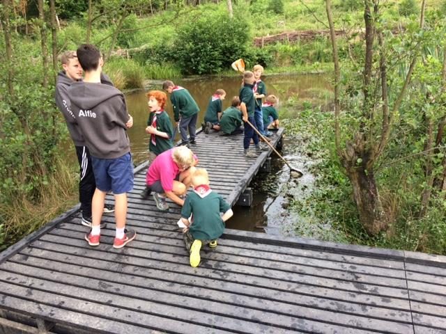 Boardwalks for nature parks