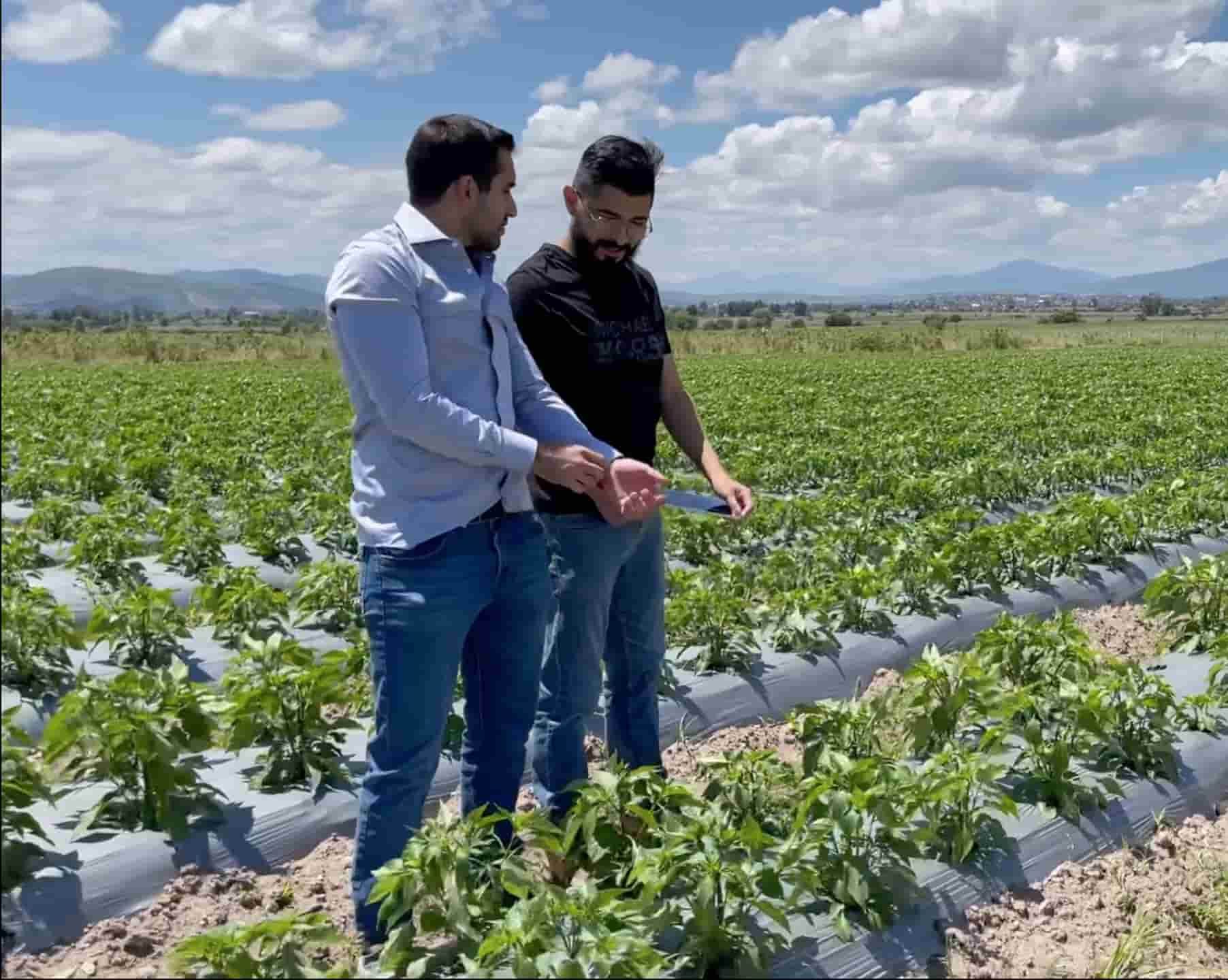 Plataforma para agricultores Agriicola