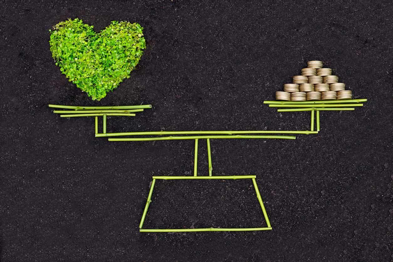 sostenibilidad-transicion-verde