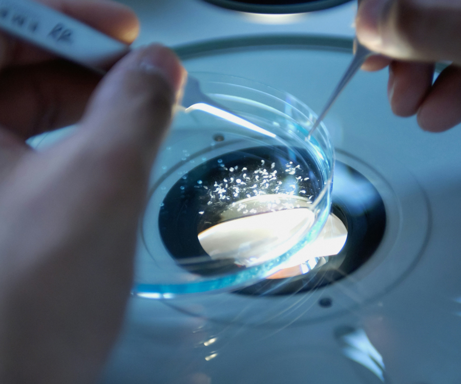 Santander Open Academy