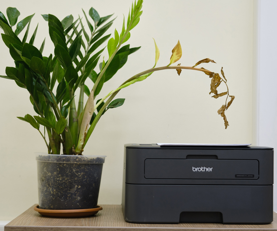 Santander Open Academy